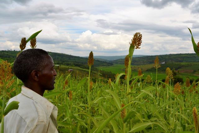 A Tool for the Modern African Farmer A Tool for the Modern African Farmer