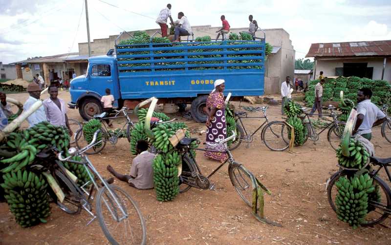 African Trade Agreements Should Include Environmental Provisions To Drive Sustainable Agricultural Growth, Finds New Analysis African Trade Agreements Should Include Environmental Provisions To Drive Sustainable Agricultural Growth, Finds New Analysis