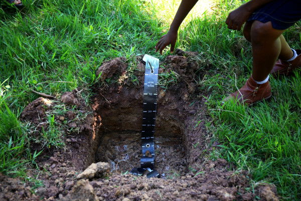 Food and Agriculture Organization (FAO) welcomes million additional funding from the United States of America for soil fertility mapping projects Food and Agriculture Organization (FAO) welcomes million additional funding from the United States of America for soil fertility mapping projects