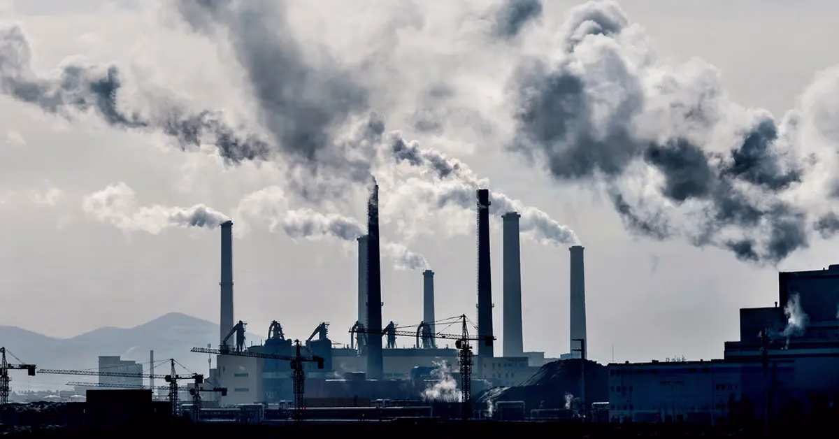Africa’s Carbon Markets Deliver More Than Emissions Reductions — And The World Should Notice And Invest Africa’s Carbon Markets Deliver More Than Emissions Reductions — And The World Should Notice And Invest